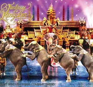patong-phuket-shows